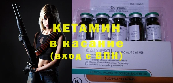 шишки Заводоуковск