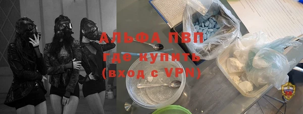 шишки Заводоуковск