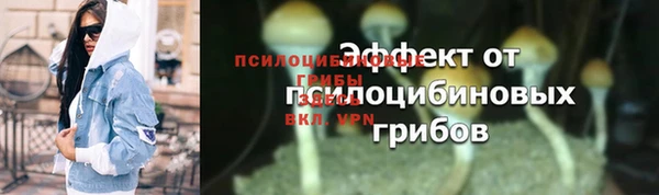 шишки Заводоуковск