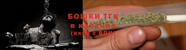 шишки Заводоуковск