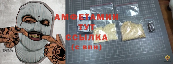 шишки Заводоуковск